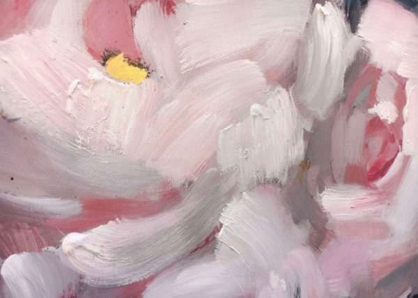 Agave quadri | Quadro Pink roses