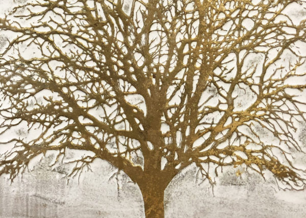 Agave Quadri | Golden tree | albero dorato