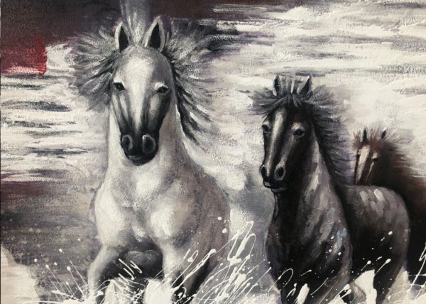 Agave quadri | Quadro Wild horses