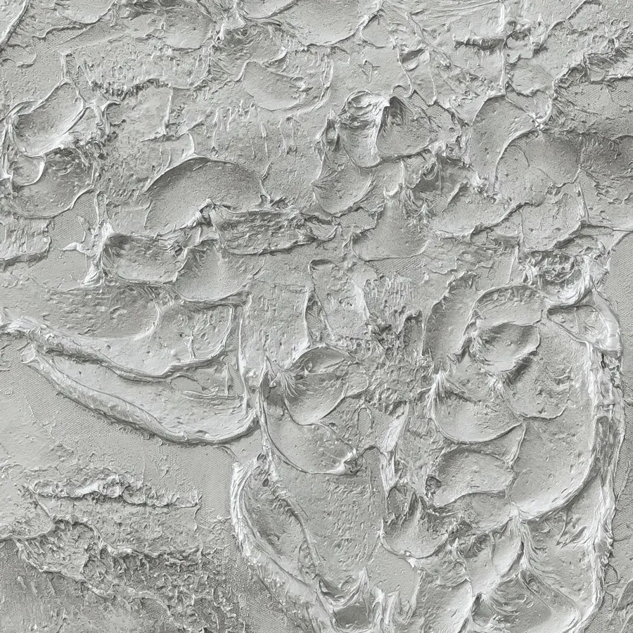 Dettaglio della superficie di Moon